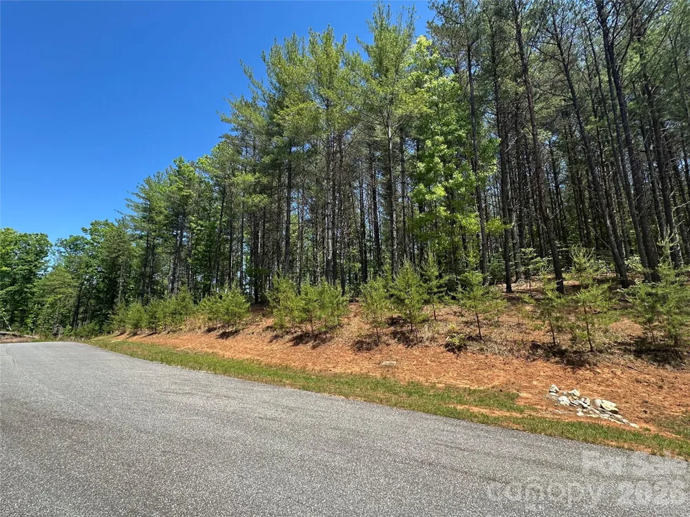 3227 Ella Marie Way Nebo, NC 28761