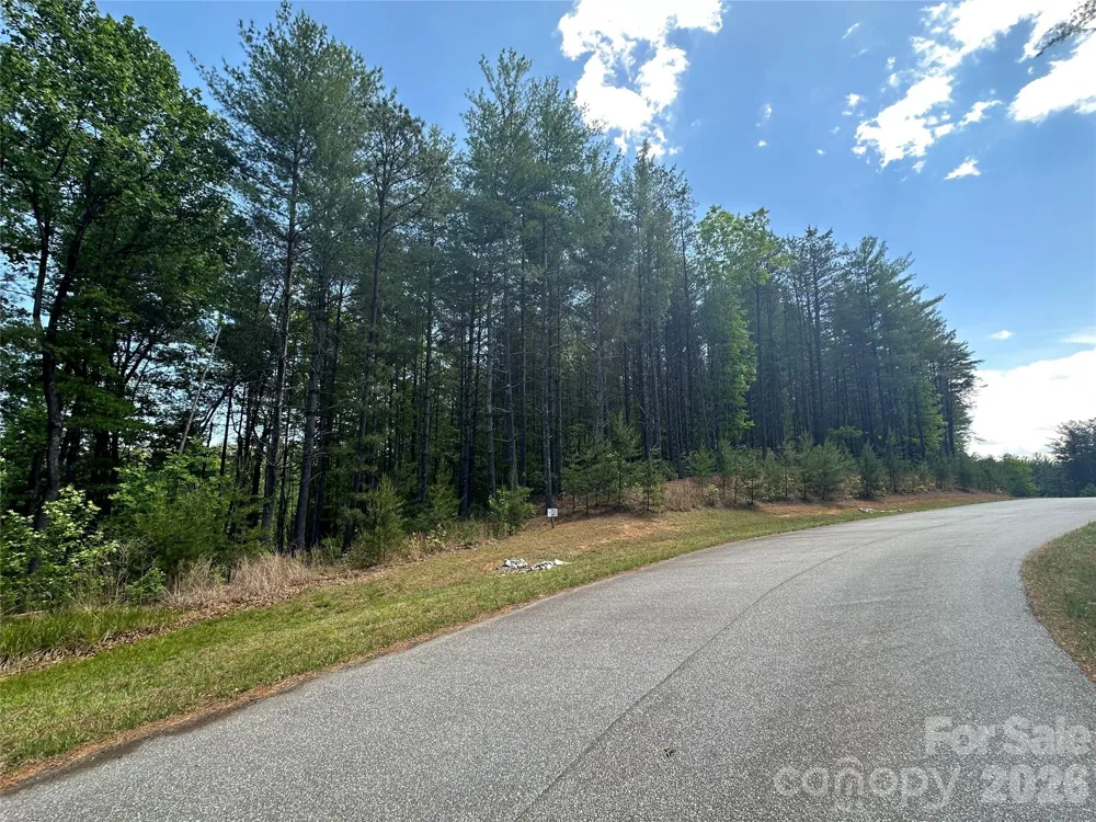 3227 Ella Marie Way Nebo, NC 28761