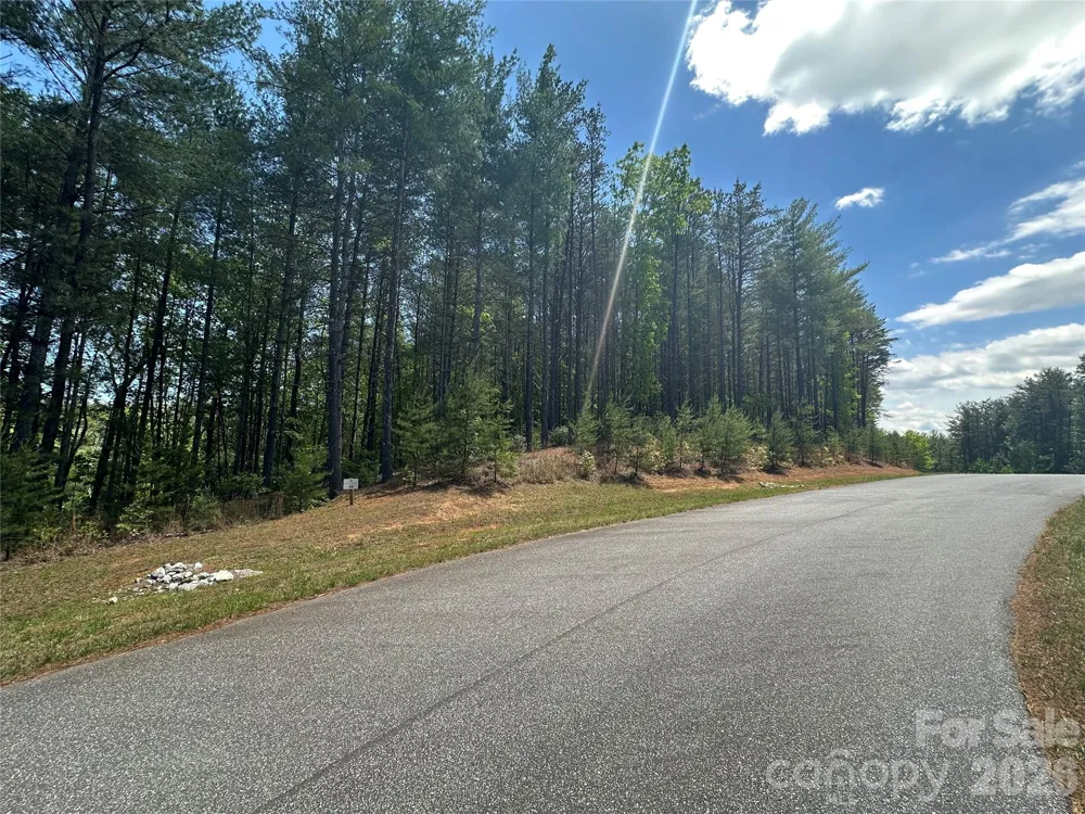 3227 Ella Marie Way Nebo, NC 28761