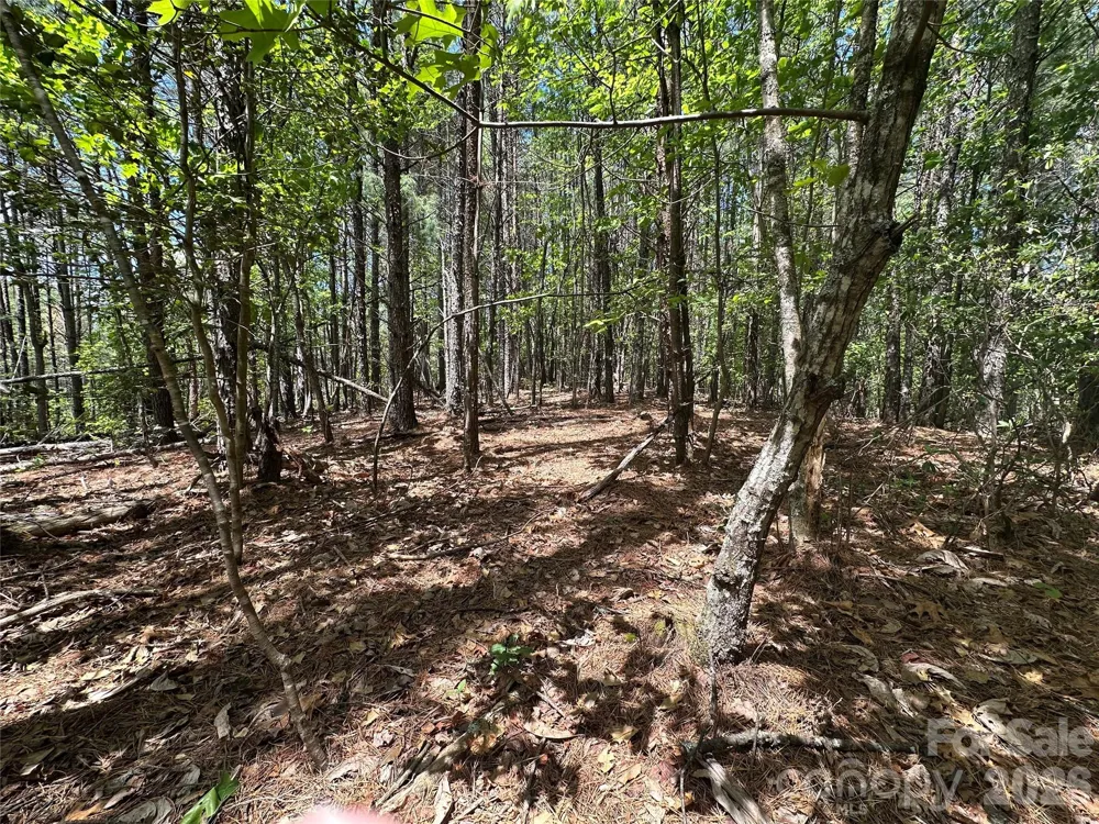 3227 Ella Marie Way Nebo, NC 28761