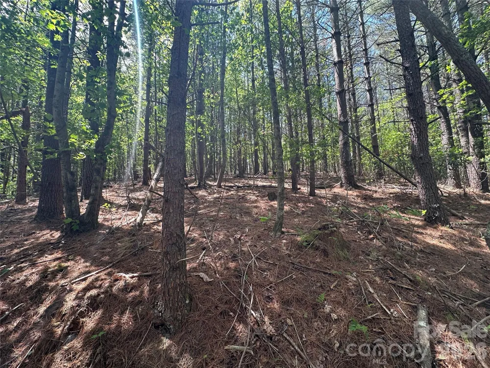 3227 Ella Marie Way Nebo, NC 28761