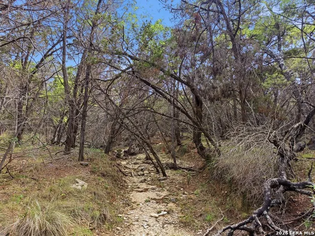 290/TBD Madrona DR/ MADRONA PASS New Braunfels, TX 78132