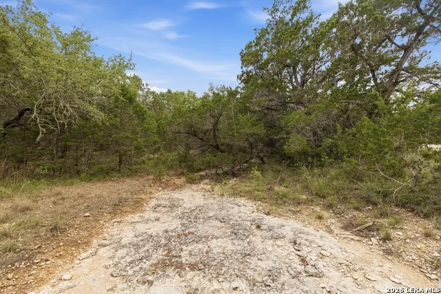 290/TBD Madrona DR/ MADRONA PASS New Braunfels, TX 78132