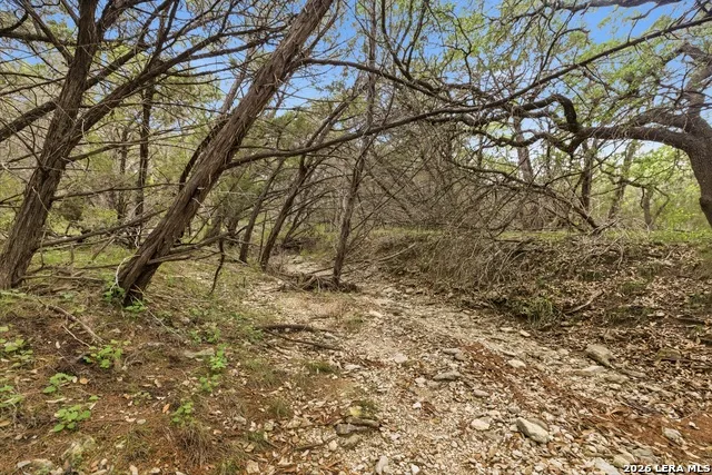 290/TBD Madrona DR/ MADRONA PASS New Braunfels, TX 78132
