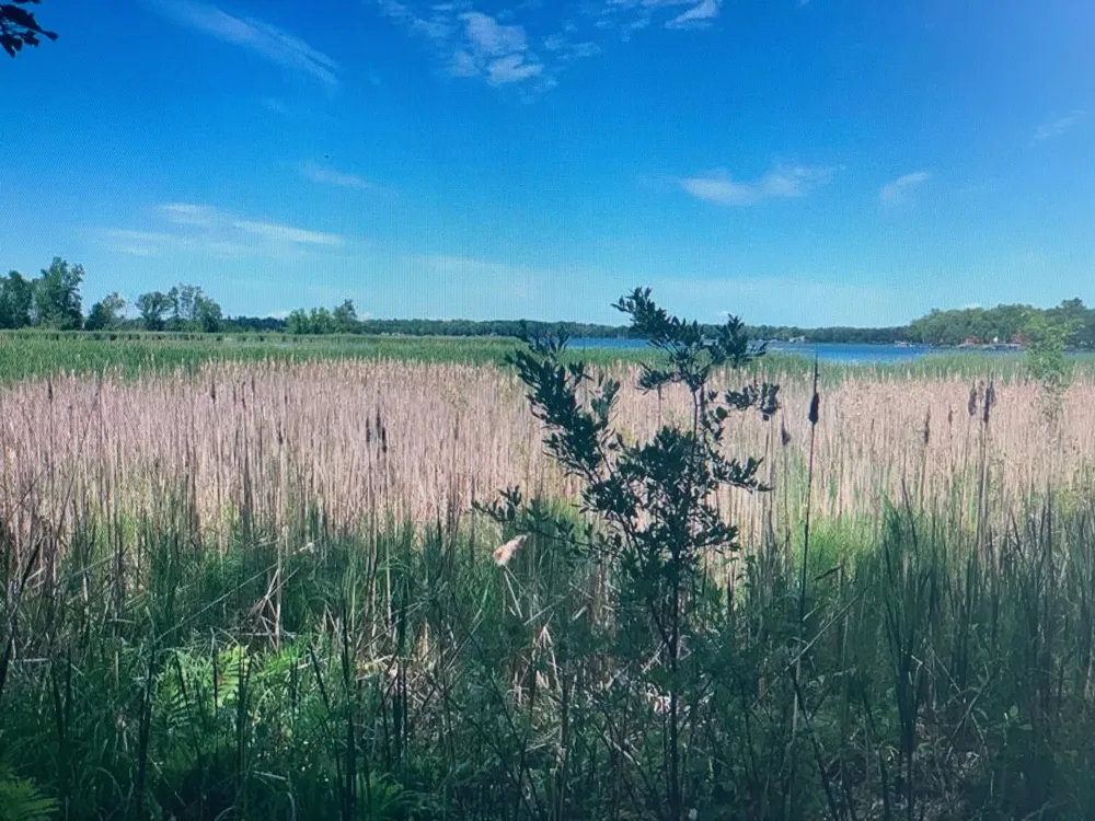 TBD 388th Onamia, MN 56359