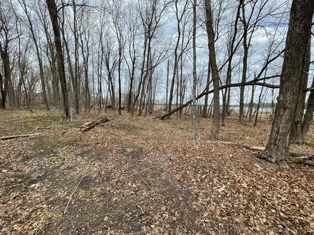 TBD 388th Onamia, MN 56359