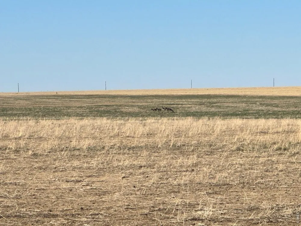 100 4 ROAD Arlington, CO 81021