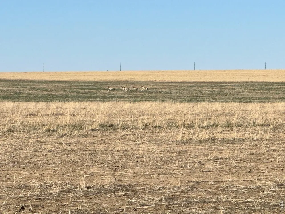 100 4 ROAD Arlington, CO 81021