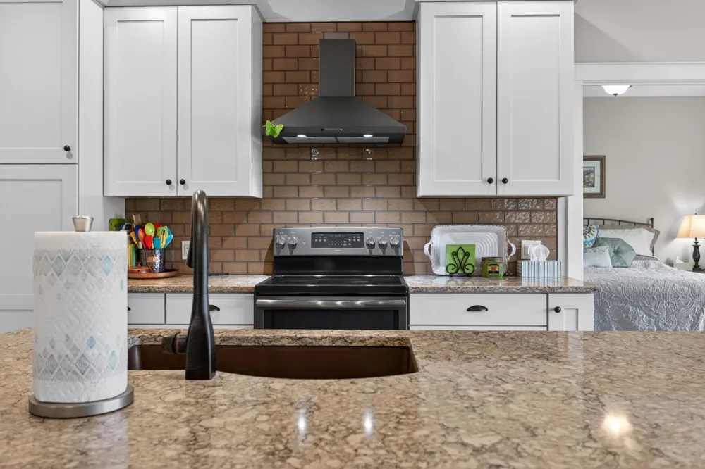 10037 Whitetail Lane Napoleon Township, MI 49201
