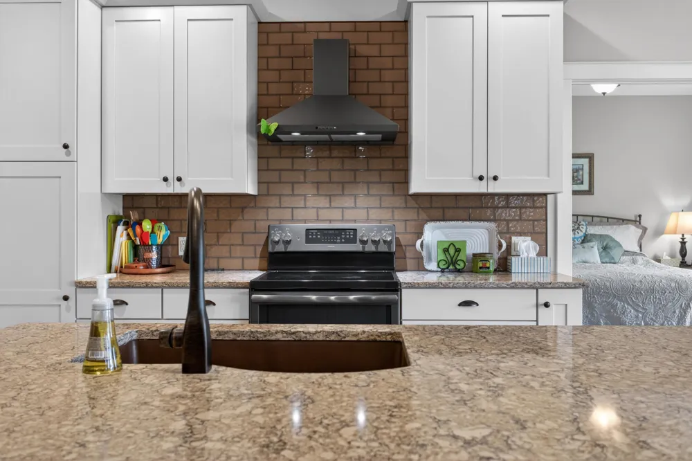 10037 Whitetail Lane Napoleon Township, MI 49201