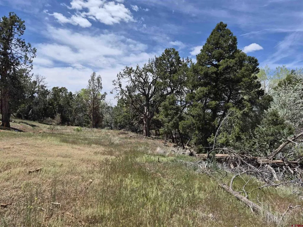 25471 Road T Dolores, CO 81323
