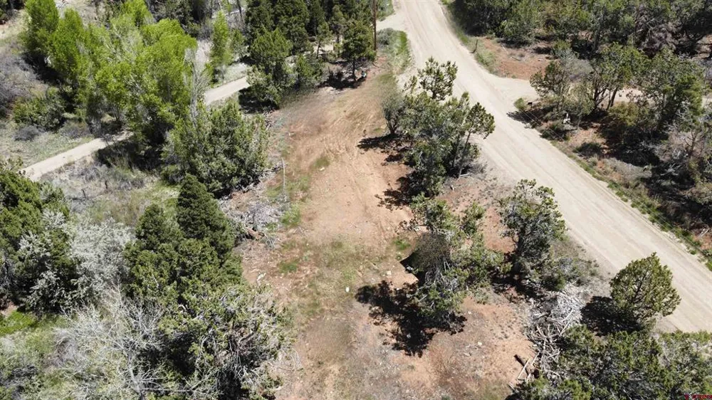 25471 Road T Dolores, CO 81323