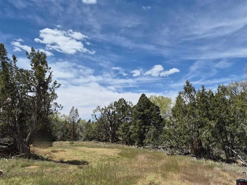 25471 Road T Dolores, CO 81323