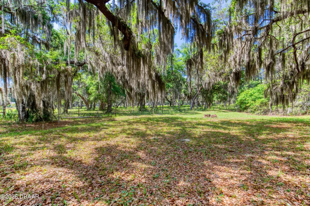 15 Maple Street Flagler Beach, FL 32136