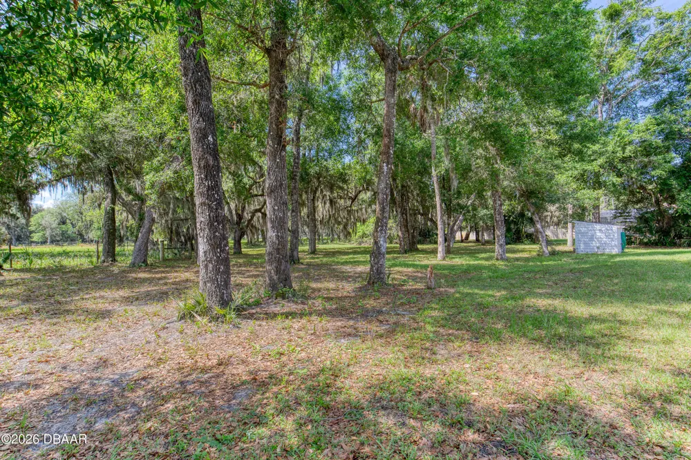15 Maple Street Flagler Beach, FL 32136