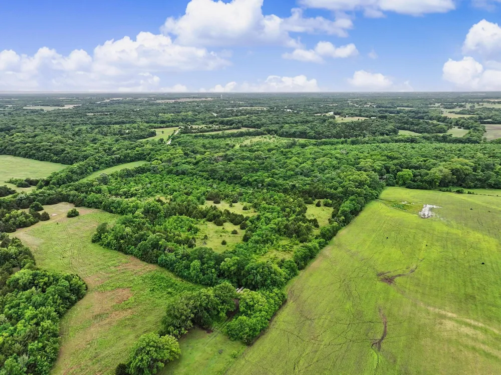 2 CR 584 Anna, TX 95409