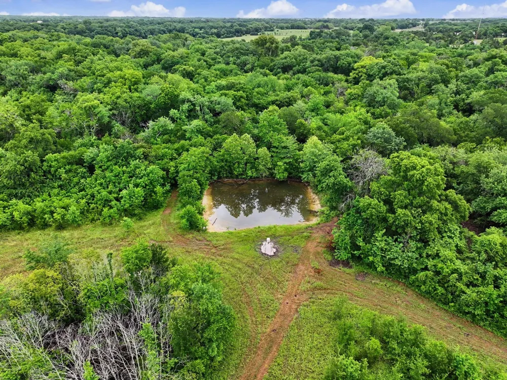 2 CR 584 Anna, TX 95409