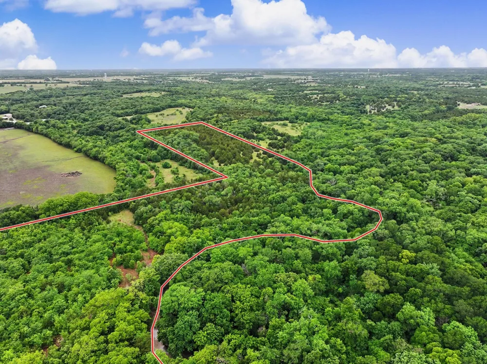 1 CR 584 Anna, TX 95409