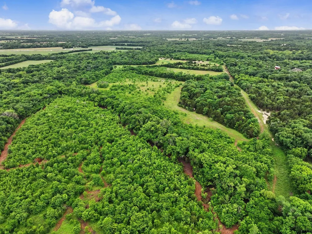1 CR 584 Anna, TX 95409