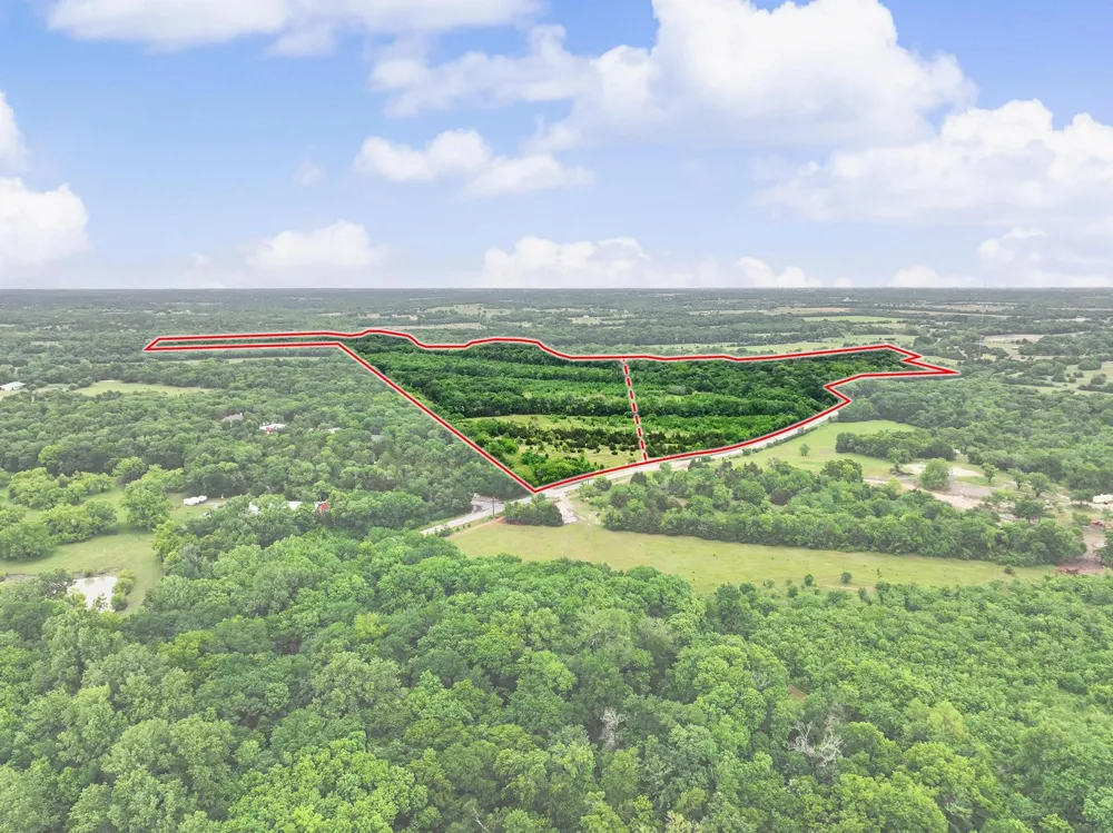 1 CR 584 Anna, TX 95409