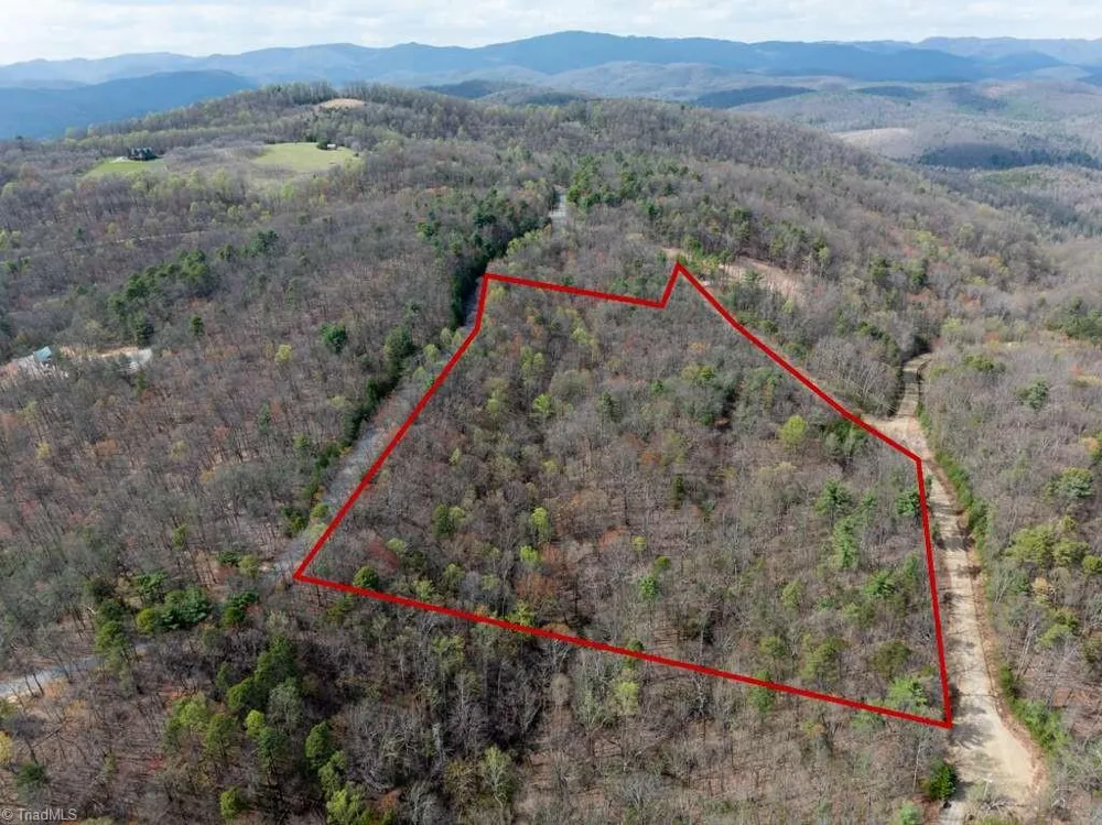 0 Chestnut Mountain Farms Parkway McGrady, NC 28649