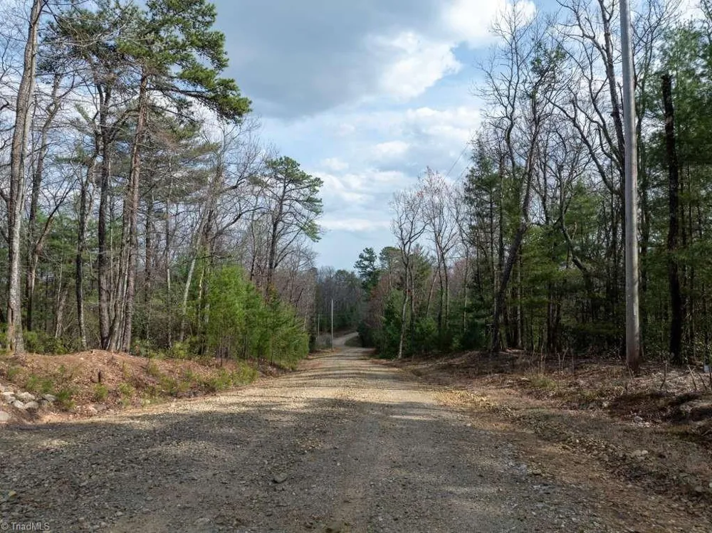 0 Chestnut Mountain Farms Parkway McGrady, NC 28649