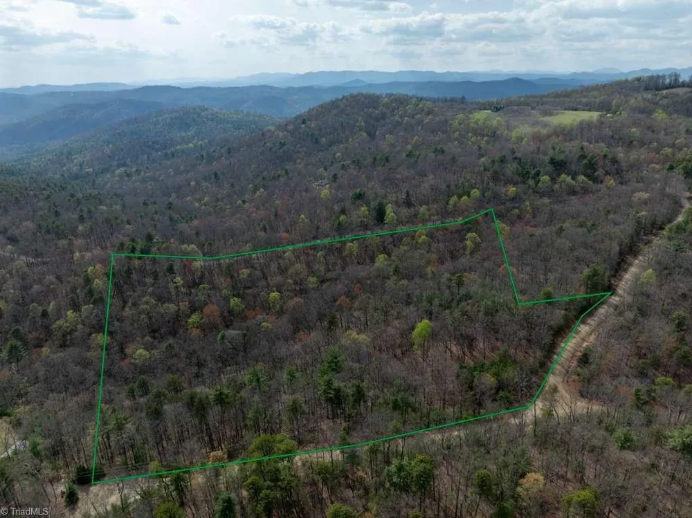 0 Chestnut Mountain Farms Parkway McGrady, NC 28649
