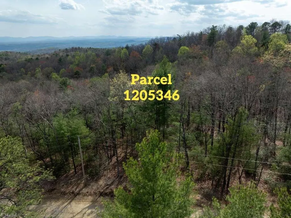 0 Chestnut Mountain Farms Parkway McGrady, NC 28649