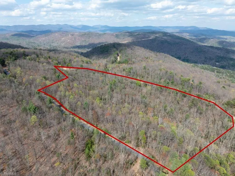 0 Chestnut Mountain Farms Parkway McGrady, NC 28649