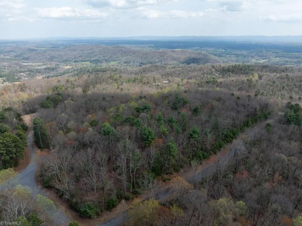0 Chestnut Mountain Farms Parkway McGrady, NC 28649