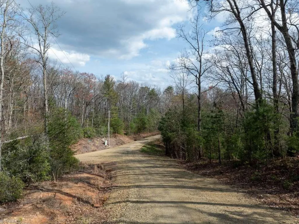 0 Chestnut Mountain Farms Parkway McGrady, NC 28649