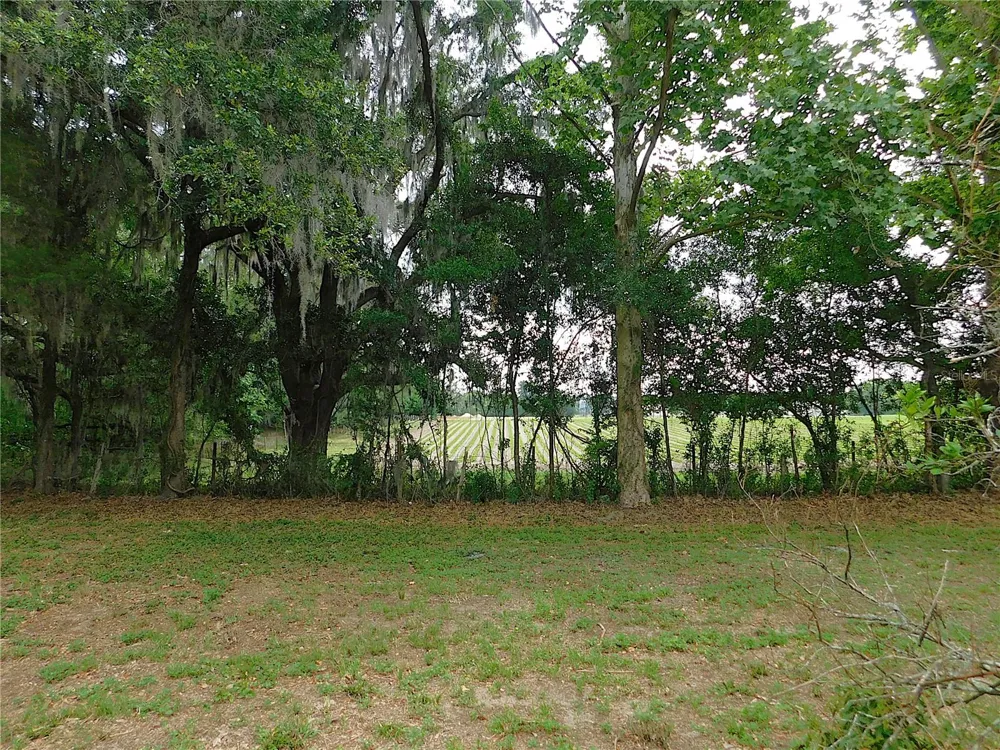 6875 NE 25TH AVENUE ocala, FL 34479