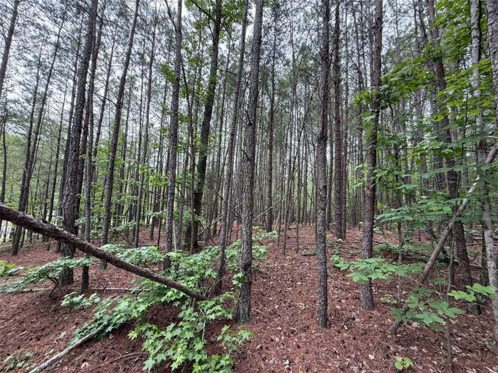 0 Natures Walk Drive Rome, GA 30165