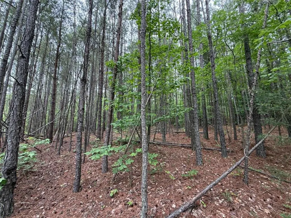 0 Natures Walk Drive Rome, GA 30165