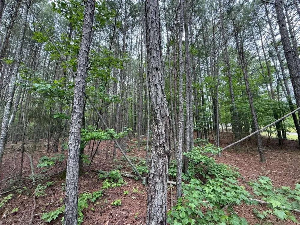 0 Natures Walk Drive Rome, GA 30165