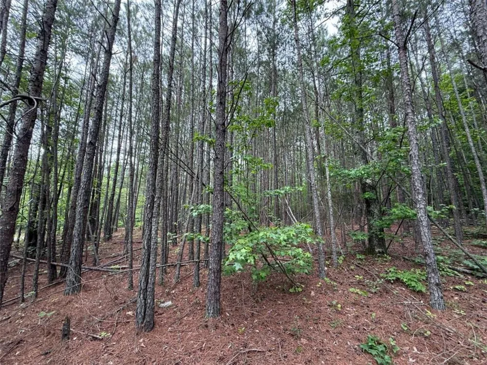 0 Natures Walk Drive Rome, GA 30165