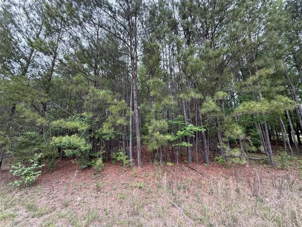 0 Natures Walk Drive Rome, GA 30165