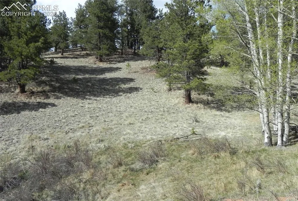 1699 Monarch Drive Cripple Creek, CO 80813