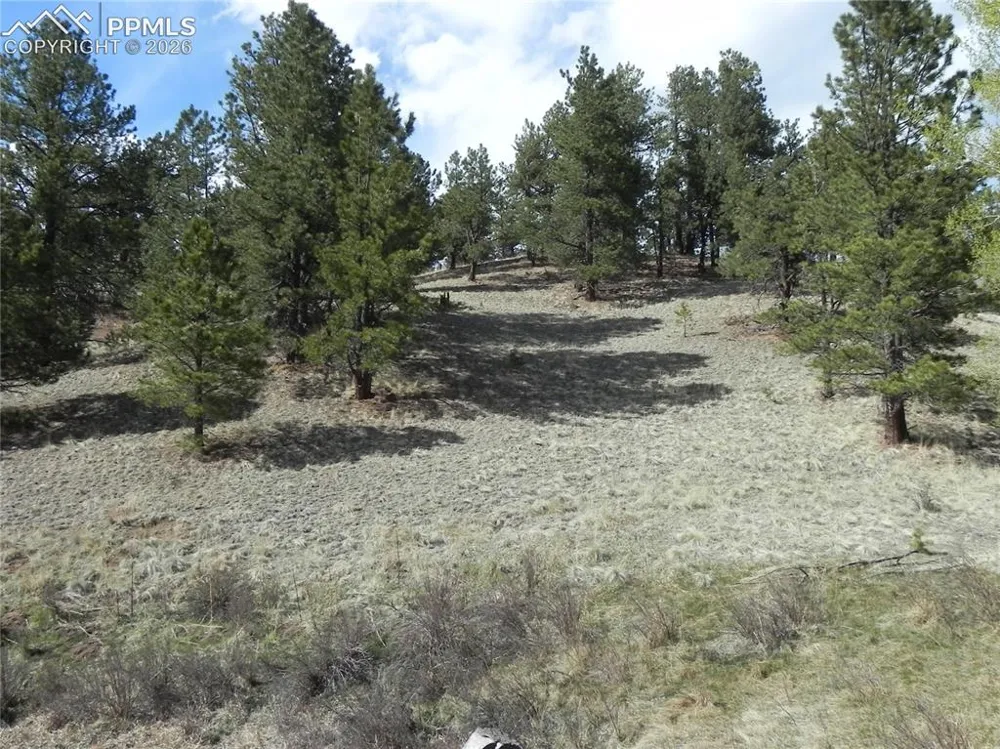1699 Monarch Drive Cripple Creek, CO 80813