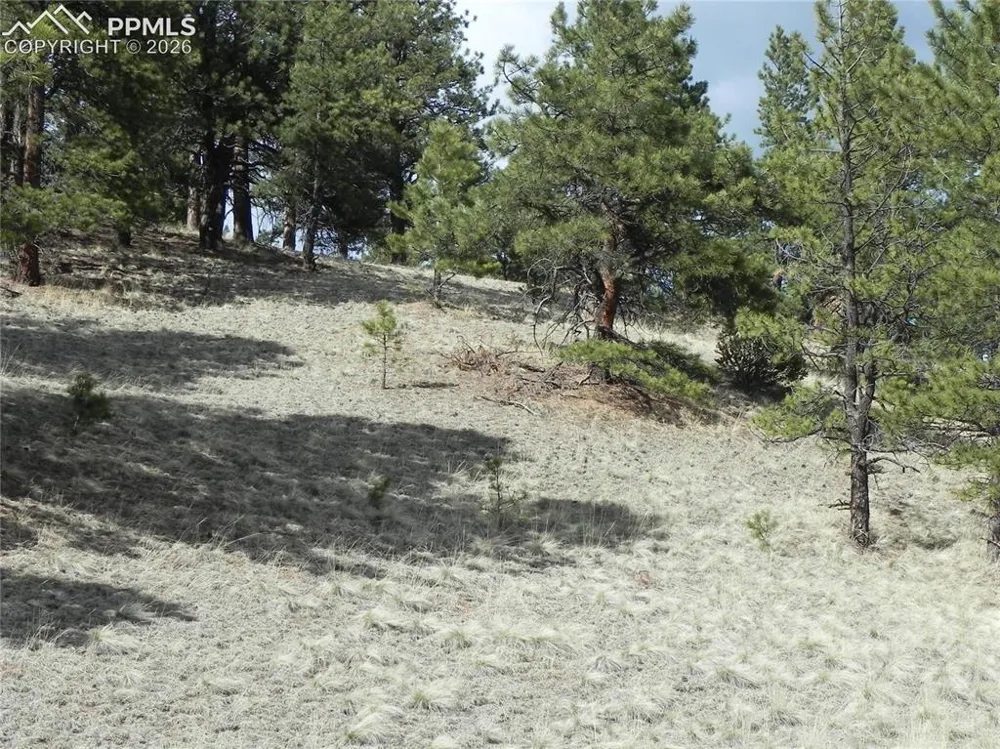 1699 Monarch Drive Cripple Creek, CO 80813