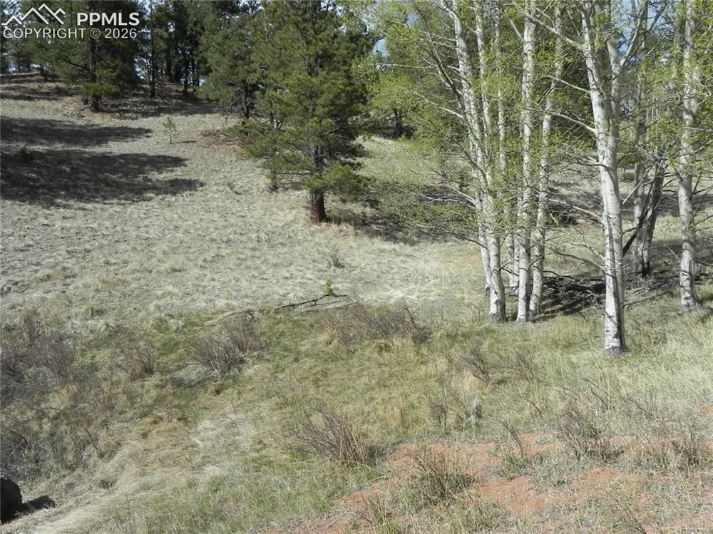 1699 Monarch Drive Cripple Creek, CO 80813
