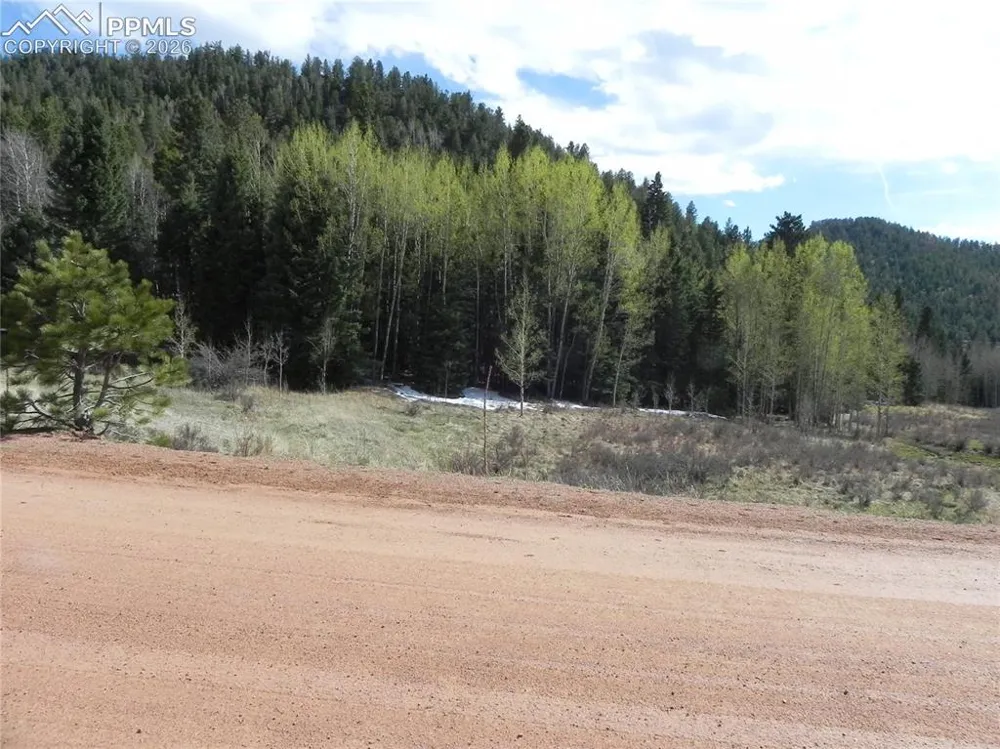1699 Monarch Drive Cripple Creek, CO 80813