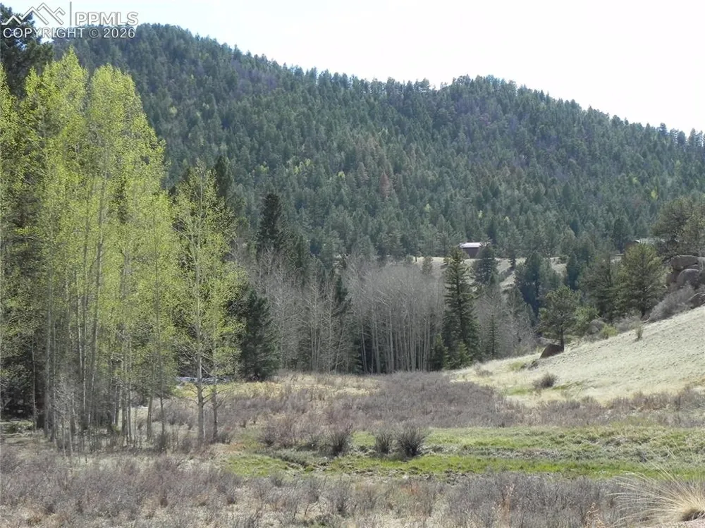 1699 Monarch Drive Cripple Creek, CO 80813