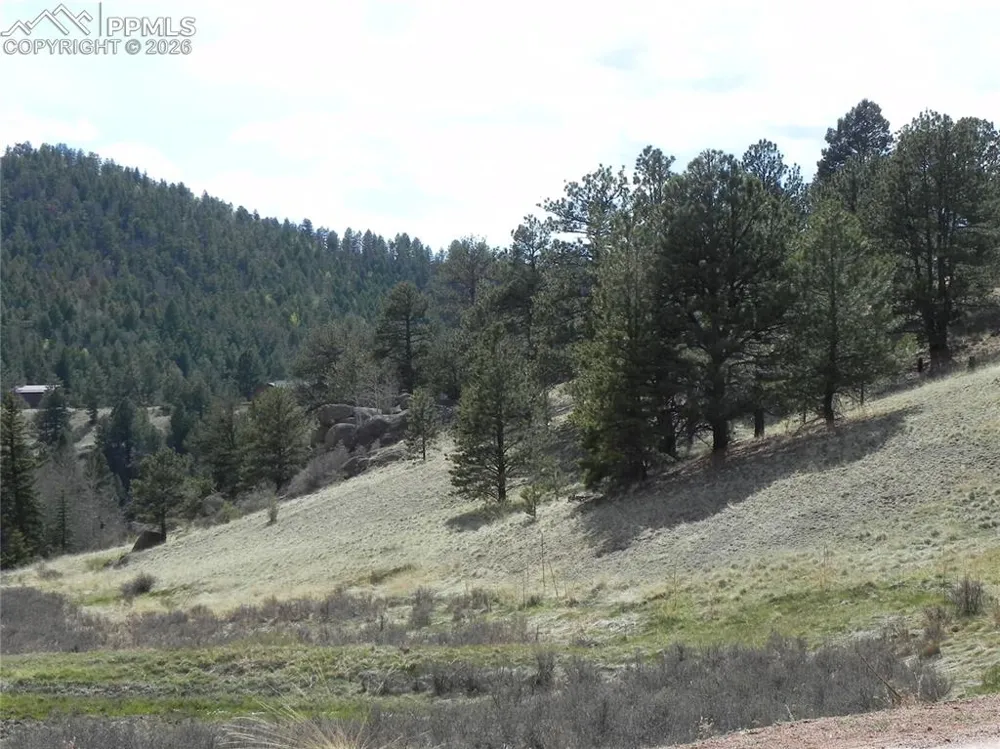 1699 Monarch Drive Cripple Creek, CO 80813