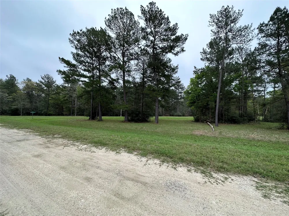 25 Colomb Street Trinity, TX 75862