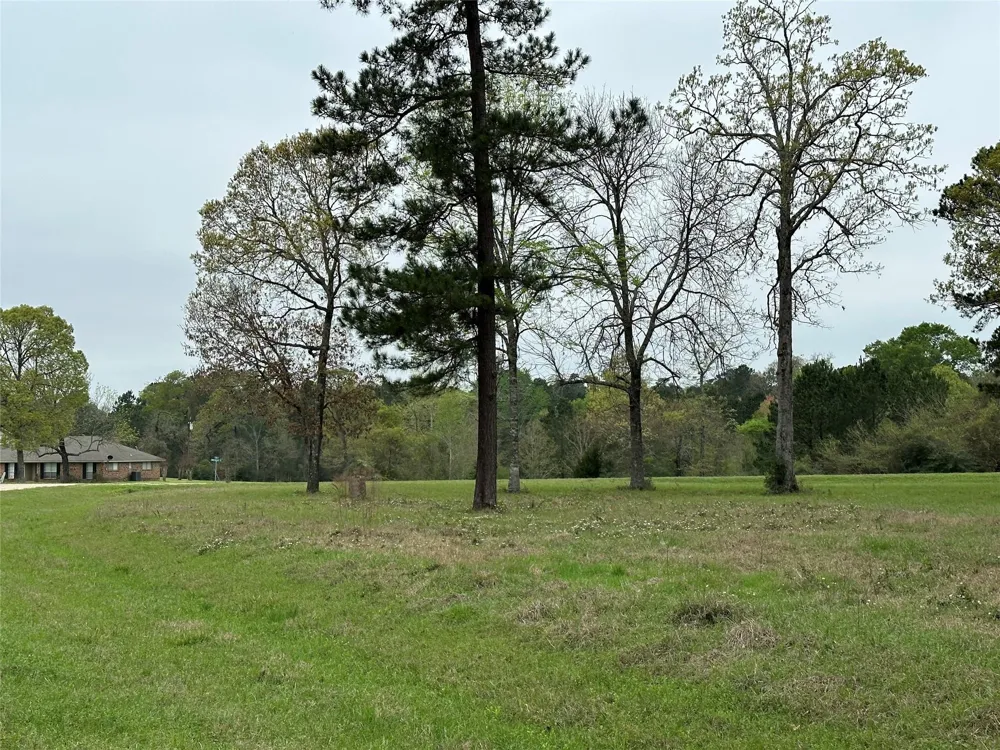 25 Colomb Street Trinity, TX 75862