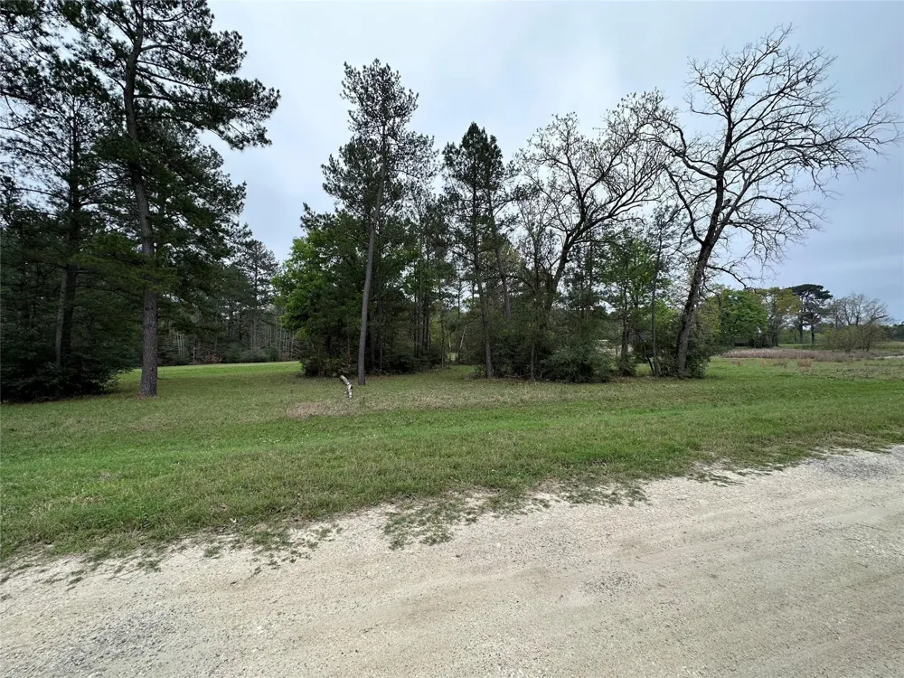 25 Colomb Street Trinity, TX 75862