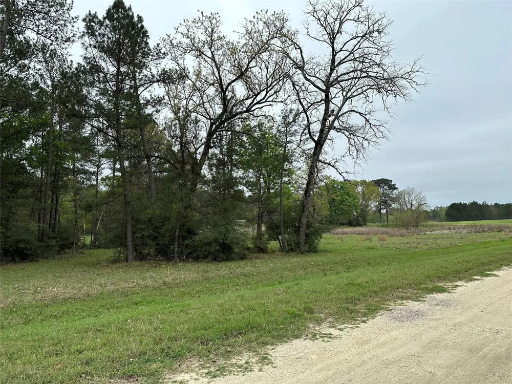25 Colomb Street Trinity, TX 75862