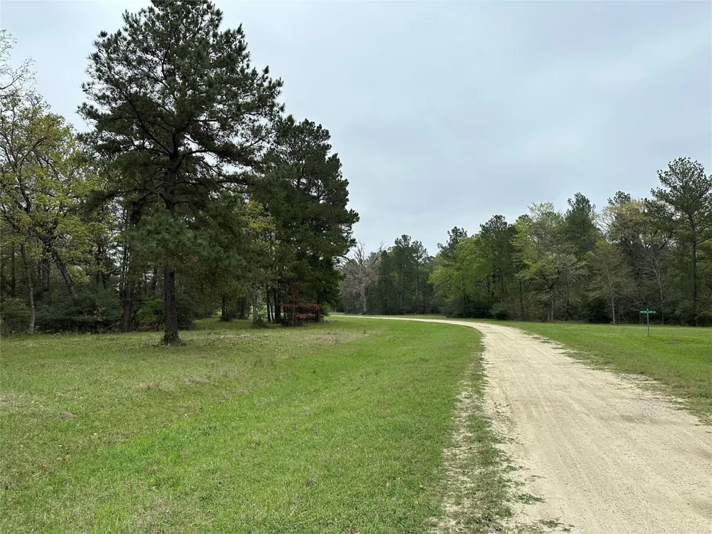 25 Colomb Street Trinity, TX 75862