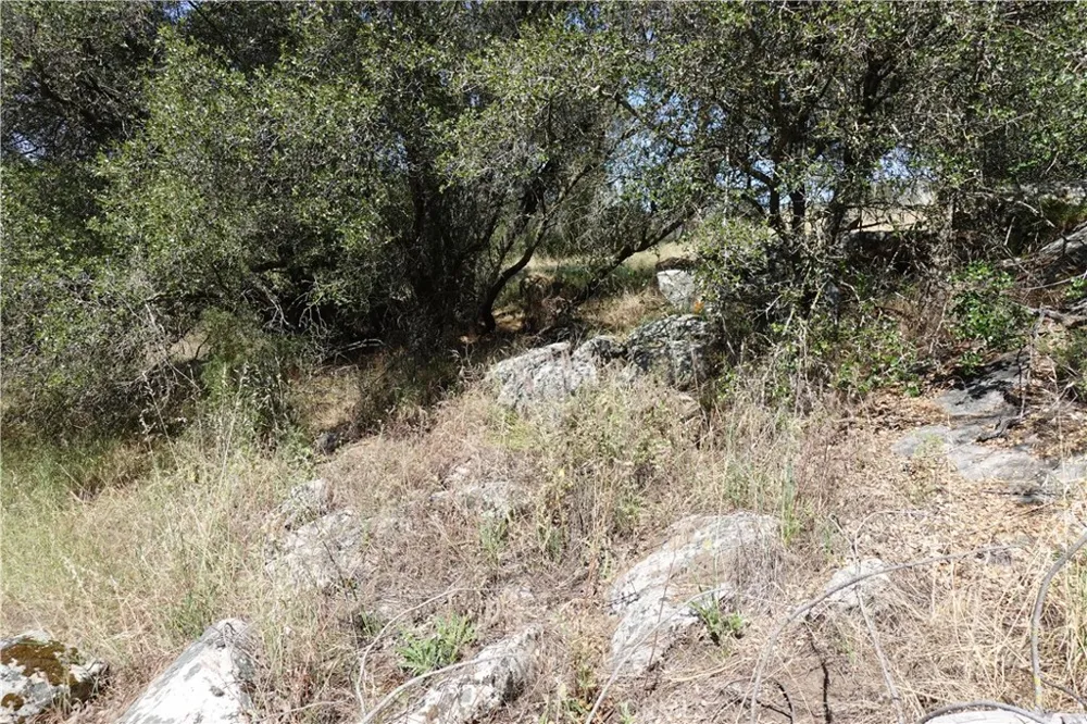 RUNNING DEER WAY Coarsegold, CA 93614